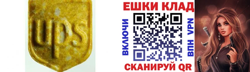 ЭКСТАЗИ Philipp Plein  Владивосток 