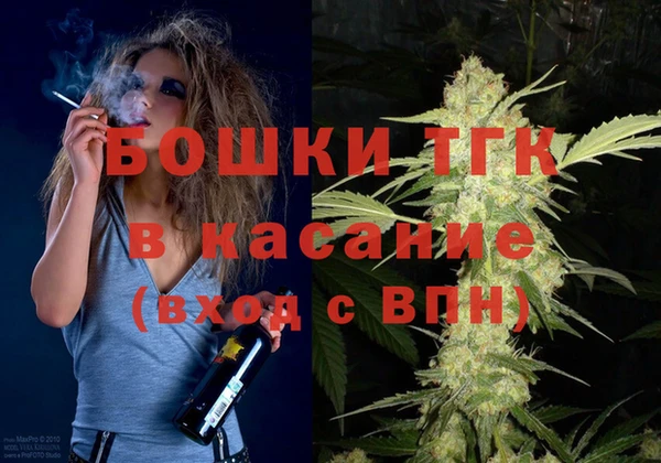 гашик Алексеевка
