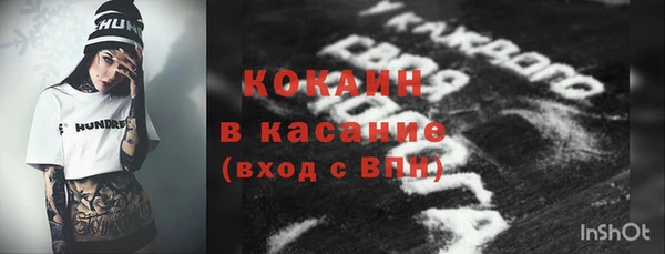 гашик Алексеевка