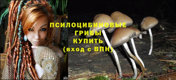 гашик Алексеевка
