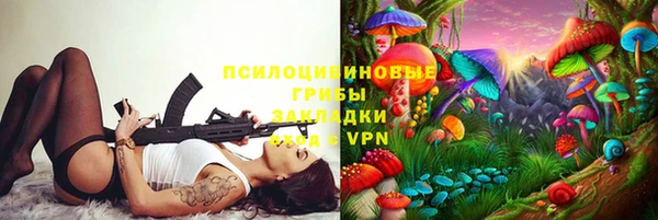 гашик Алексеевка